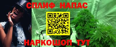 хмурый Новокубанск